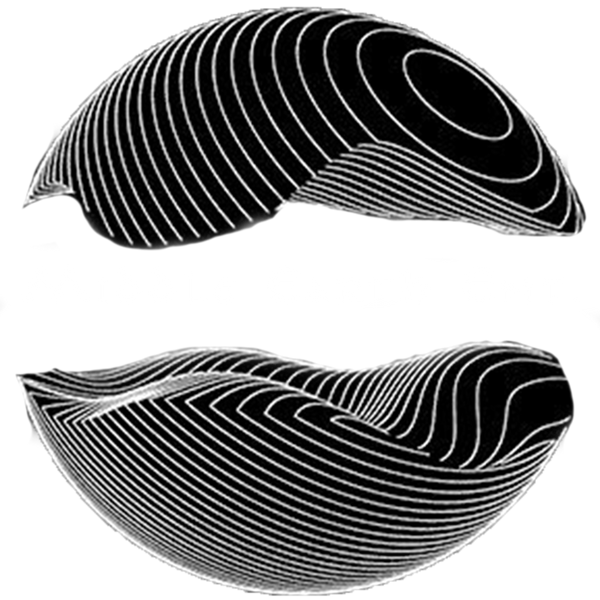 Middle Earth Merch